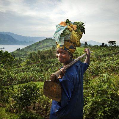 Origins: Kiluku Coffee, Democratic Republic of Congo - Hale Coffee Co.